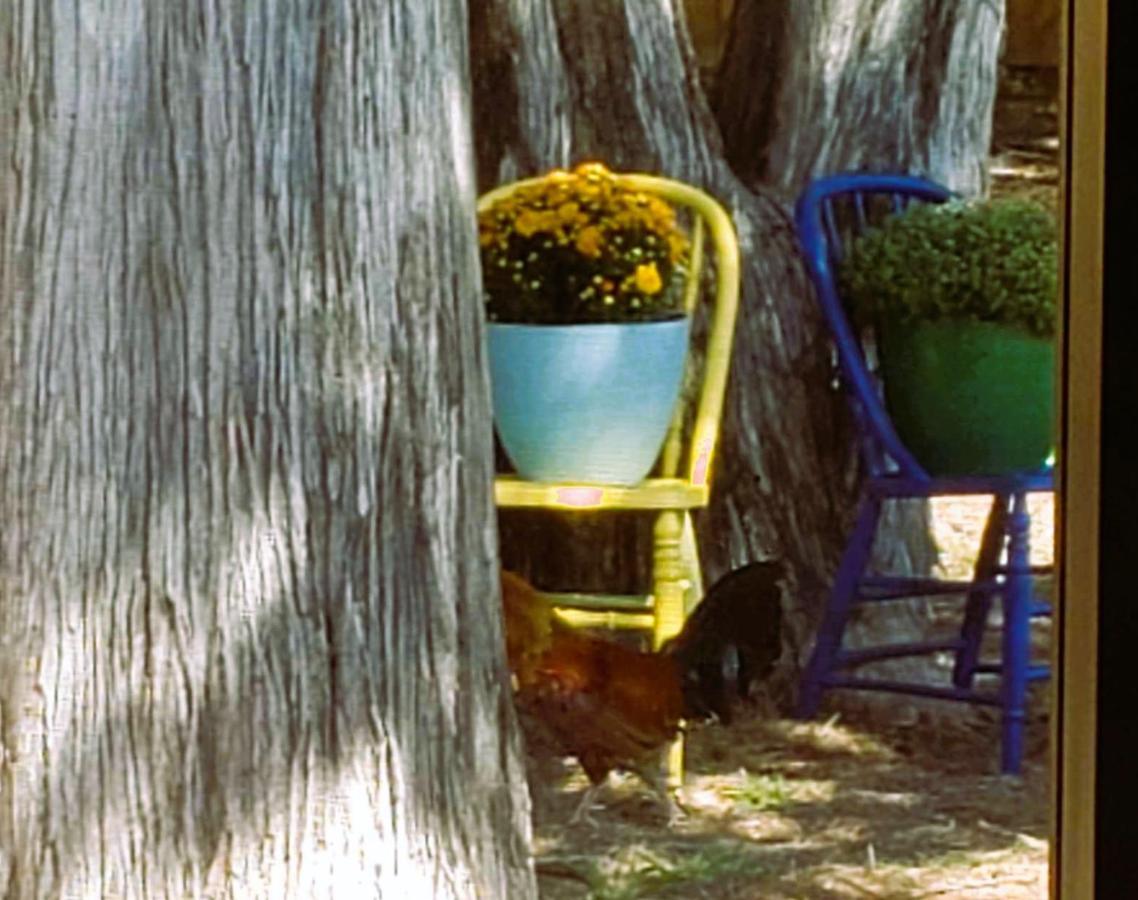 Midtown Southern Charm Tyler Extérieur photo